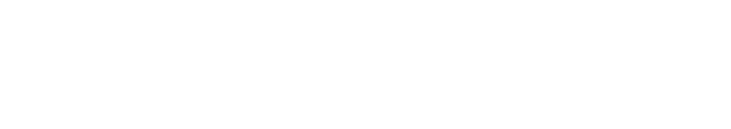 KIA Icon